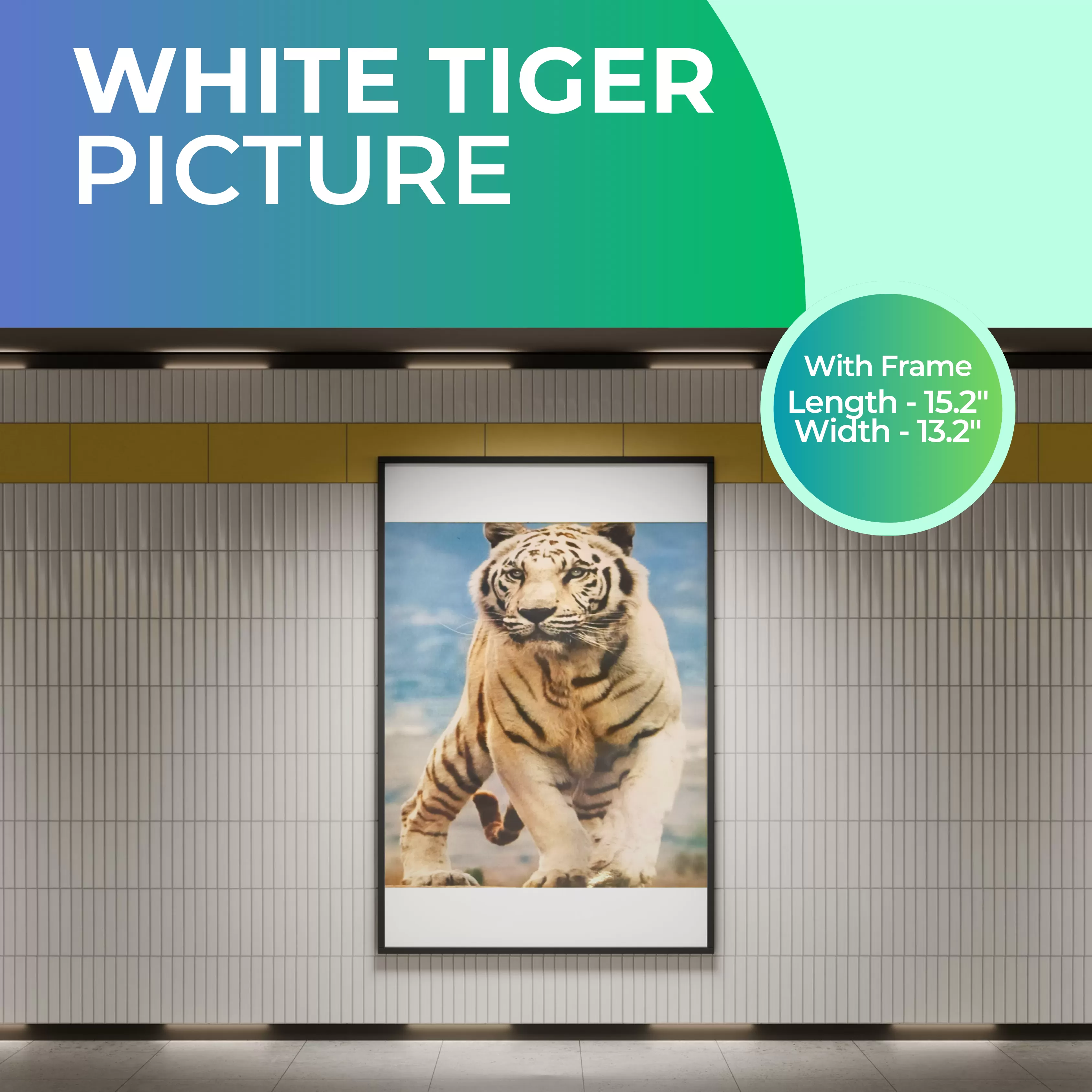 White Tiger Picture